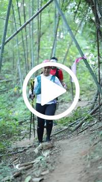 BIB:  <button type="button" onclick="openModal(28041367)" class="btn btn-primary btn-sm float-right" data-toggle="modal" data-target=".modal-high-quality">
                <i class="fa fa-download"></i> Download
                </button>